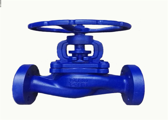 Cast Iron Water Flanged Globe Valve DIN GG25 PN16 Stainless Steel