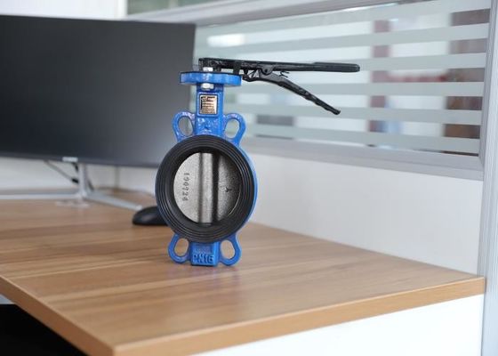 DN200 Wafer Type Valve Cast Iron Without Pin Clear Water Material