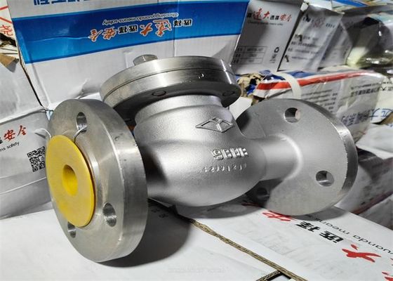 Corrosive Medium Flanged Swing Check Valve Stainless Steel Body