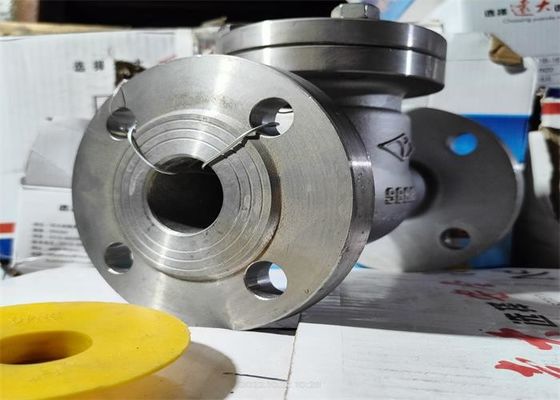 Corrosive Medium Flanged Swing Check Valve Stainless Steel Body